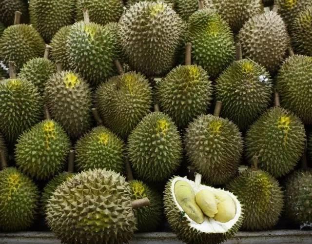 马来西亚各种榴莲名称,马来榴莲品种介绍