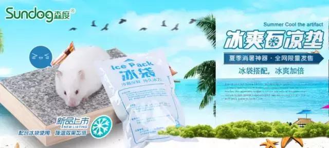 亚宠展第二弹的宠物,亚宠展有爬宠吗