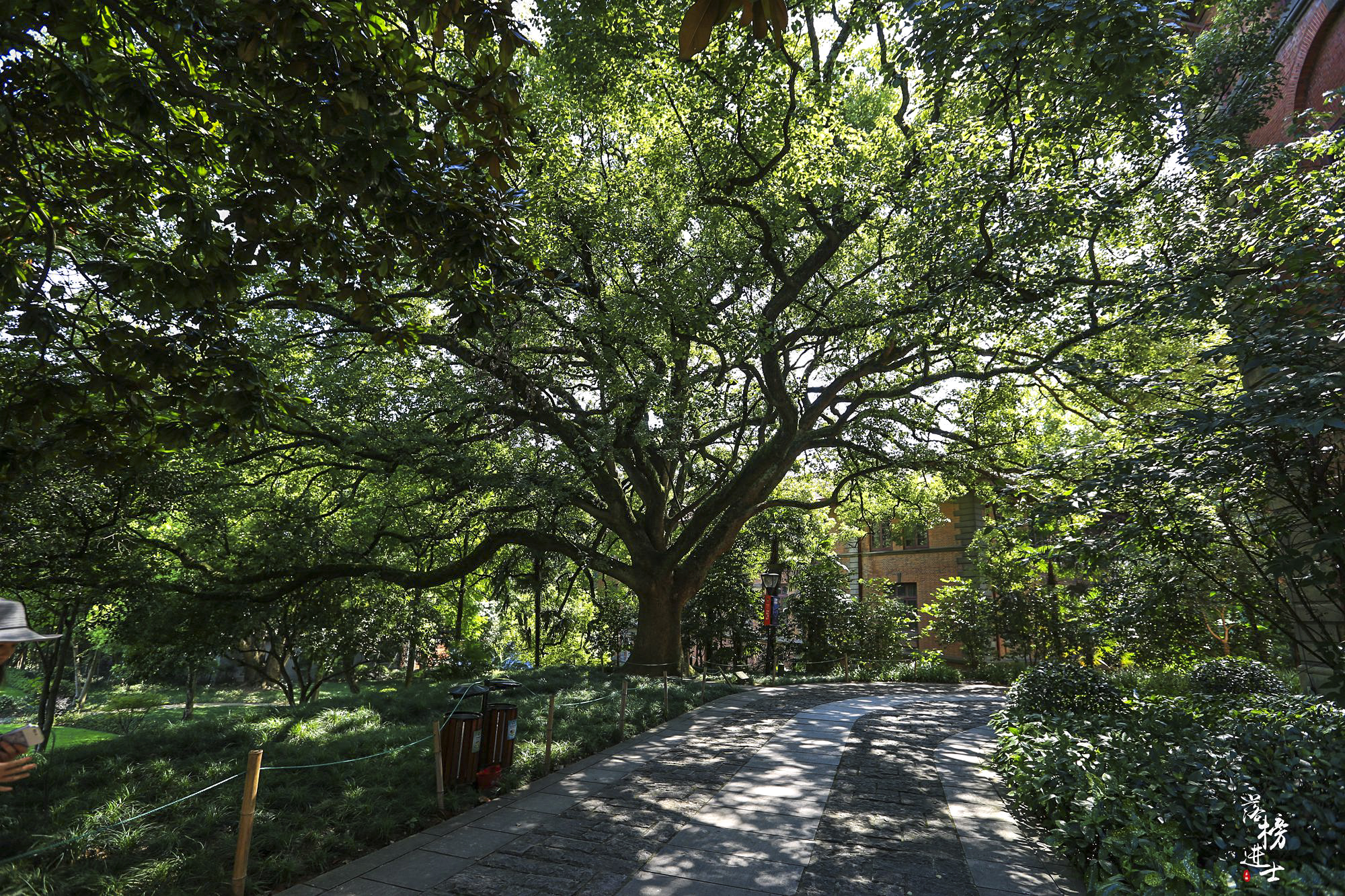 杭州之江技术学院,浙江工业大学之江学院照片