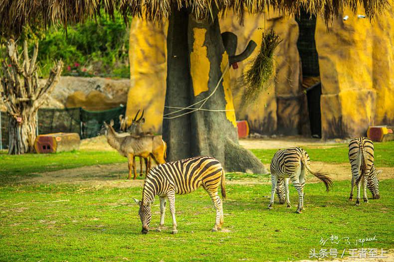 越南最美山庄,越南最美的桃源