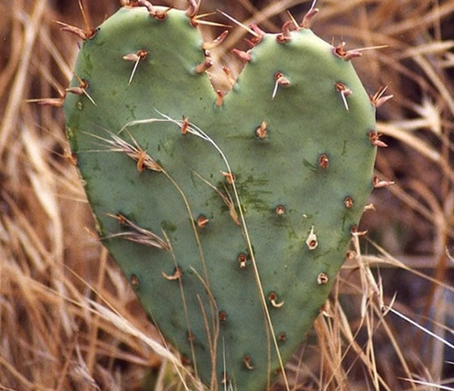 爱情经典朋友圈语录,朋友圈爱情背景图片