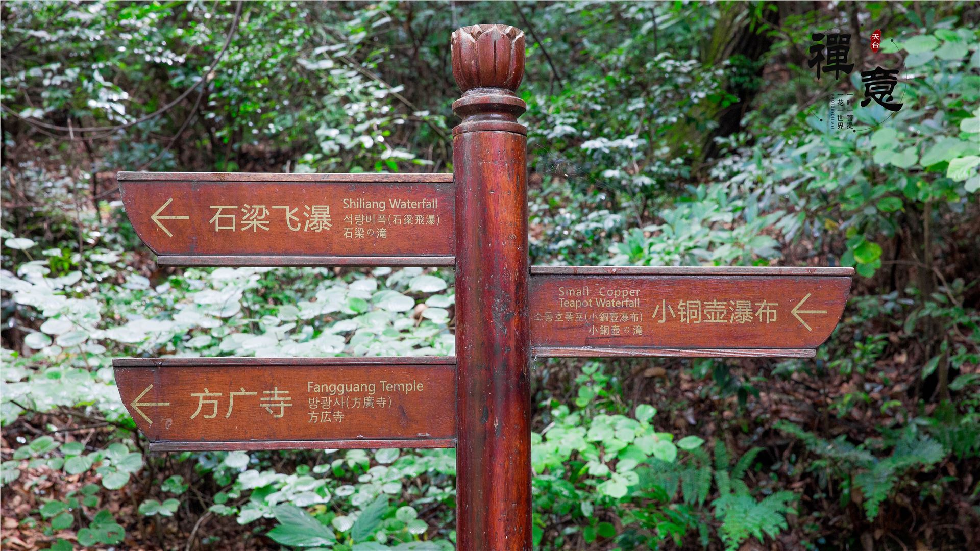 石梁飞瀑高清图,天台山国清寺石梁飞瀑一日游