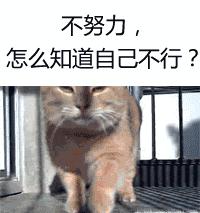 别跟我谈什么梦想我只想躺赢,别跟我谈什么梦想