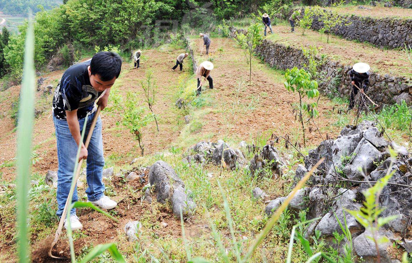 城市压力太大想回农村放松,现在返乡创业有什么好一点的项目