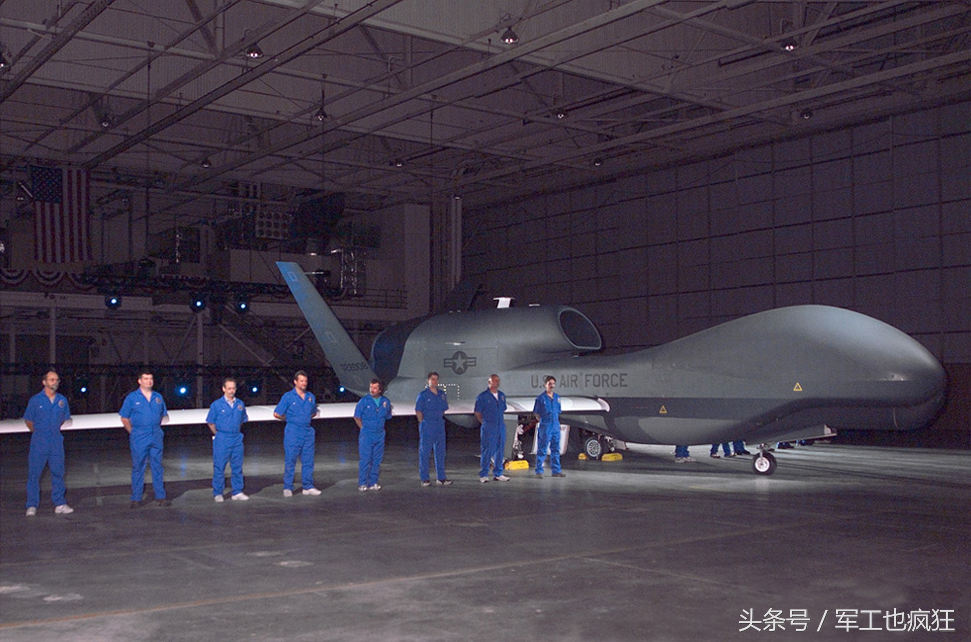 全球鹰翅膀为什么那么长,全球鹰是世界第一吗