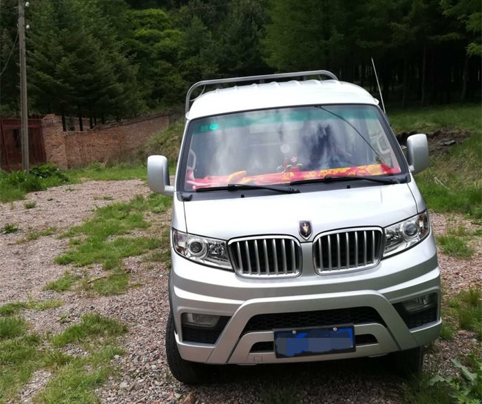 金杯t52拉货怎么样,金杯t52有油气两用的吗