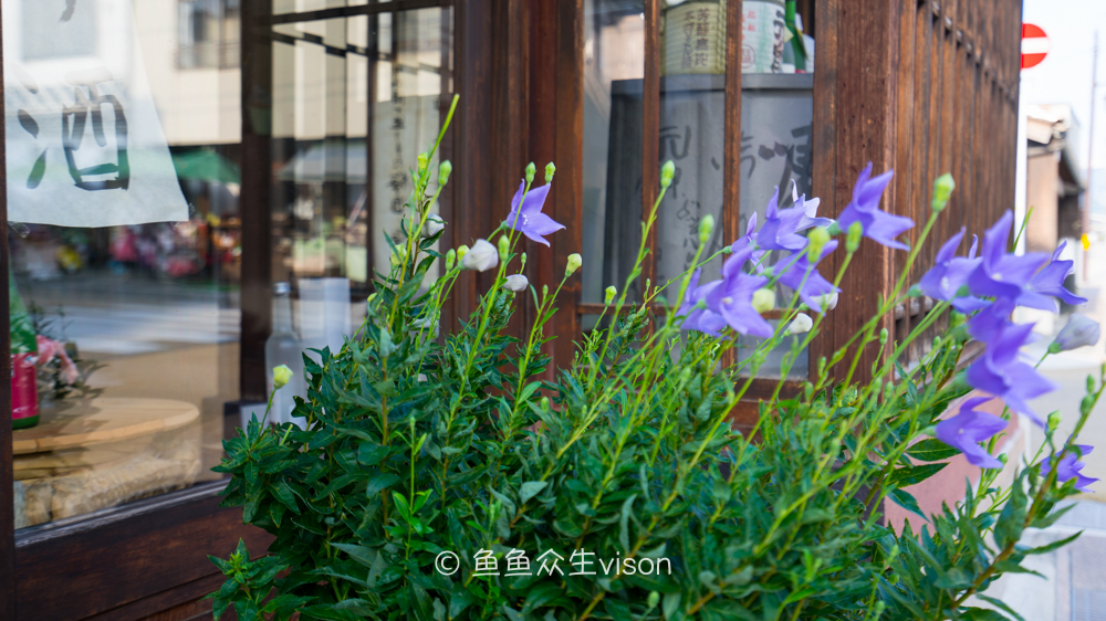 这里是日本,日本旅游柯南故乡