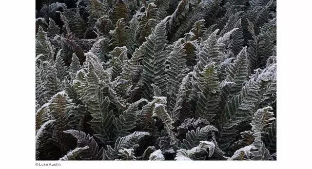 30秒了解佳能90d,40秒了解佳能