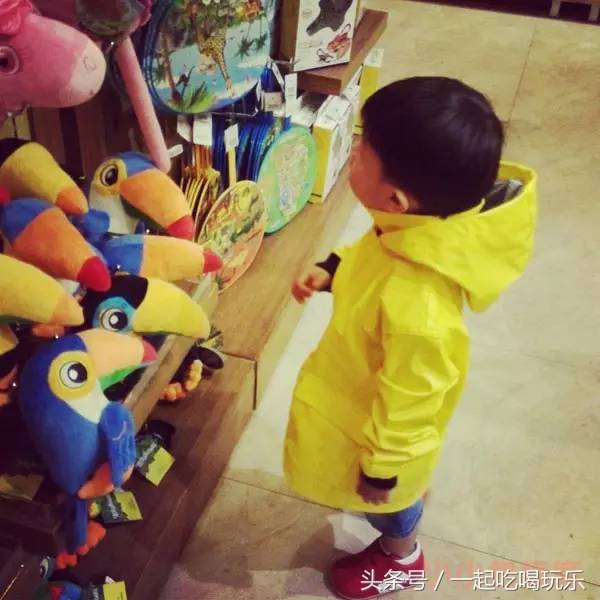 带宝宝长隆野生动物园旅游攻略,广州长隆野生动物园旅游攻略