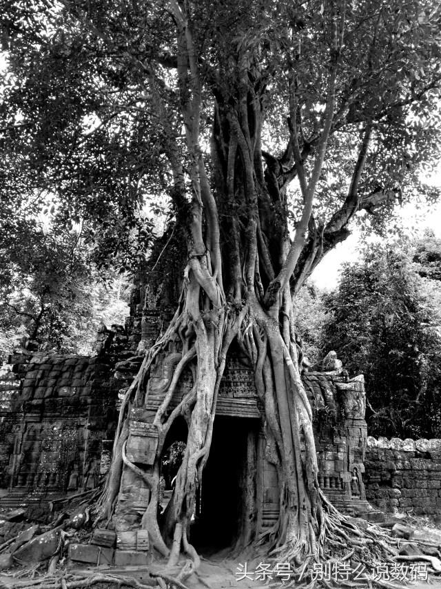 这次带着三星S8去看吴哥窟