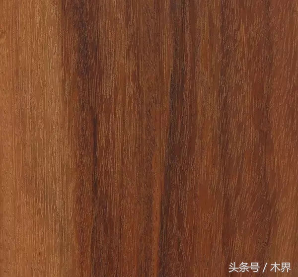 「木说」阔变豆（马卡考巴——Macacauba）木材
