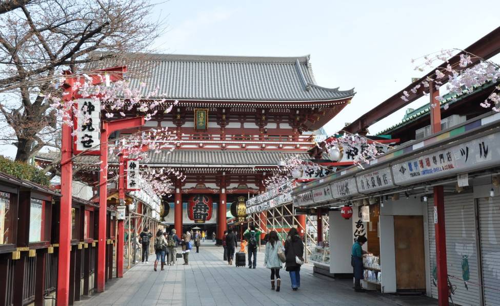 跟兔达人走世界——东京，追寻龙猫的足迹