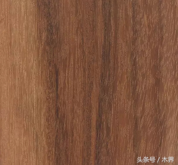 「木说」阔变豆（马卡考巴——Macacauba）木材
