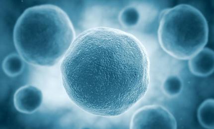 什么是真正的补水面膜,面膜抵御氧化补水保湿