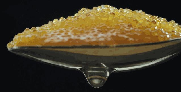 澳门豆捞创始人苦寻神秘食材，做了一颗让吃货泪流满面的小丸子