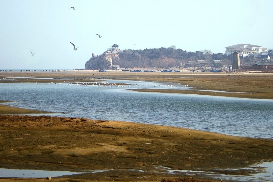 北戴河的鸽子窝公园,北戴河鸽子窝公园之旅