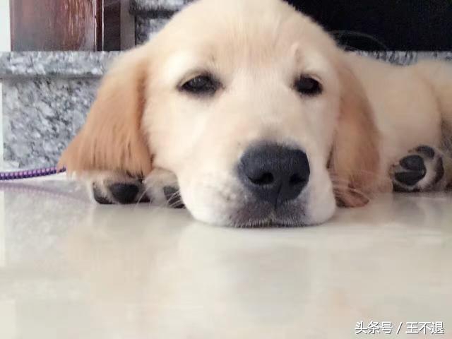 全平台优秀独立游戏推荐,近期热销的十款steam独立游戏盘点