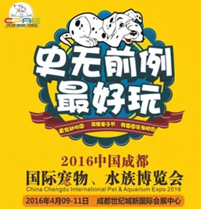 成都11月1日活动,11月9日成都活动