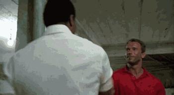 完美肱二头肌训练臂力棒,完美二头训练方法