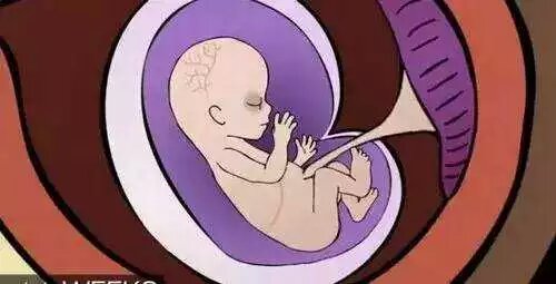 男的会接受女朋友打胎吗,你会建议你的女朋友打胎吗