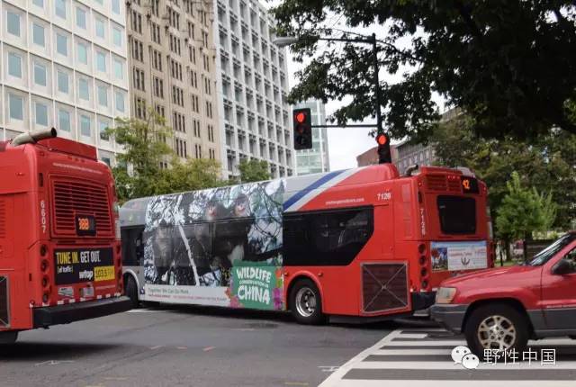 奚志农的作品,奚志农做客东方甄选