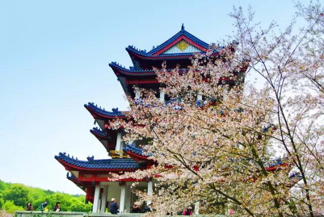 清明小长假出游提醒 (清明小长假微信消息)