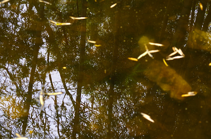 苏州穹窿山景区风景,苏州穹窿山半山腰