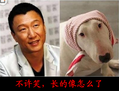 内涵段子，搞笑笑话：不许笑，长的像怎么了