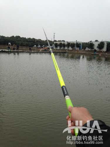 揭秘龙背后的故事,为什么那么多龙纹鲤