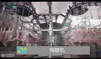 看看外国人是怎样宰牛的,德国杀鸡的全过程