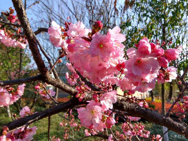 红米note3的拍照方法,红米note3不亮