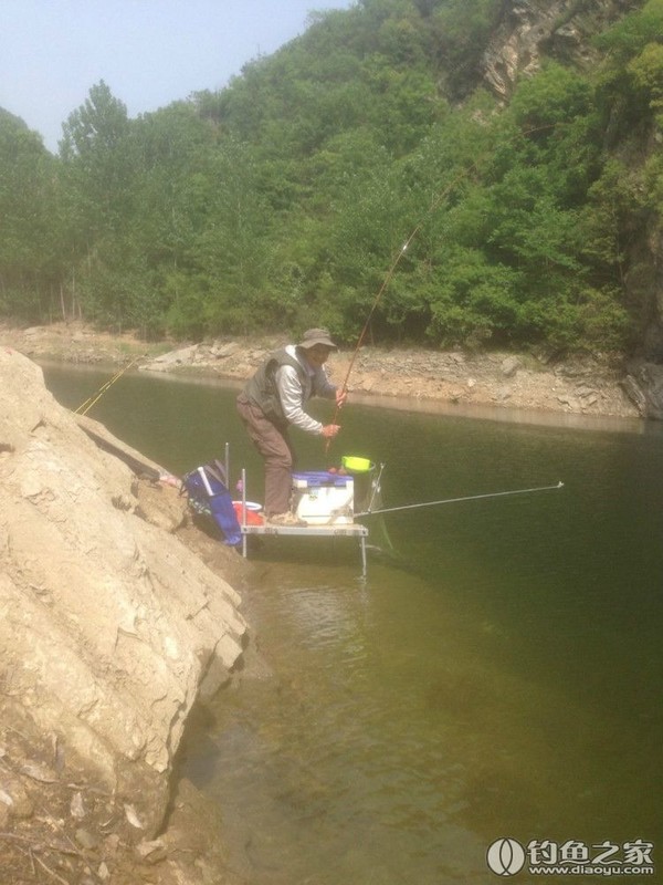 探钓野生鱼视频,探钓野生水库