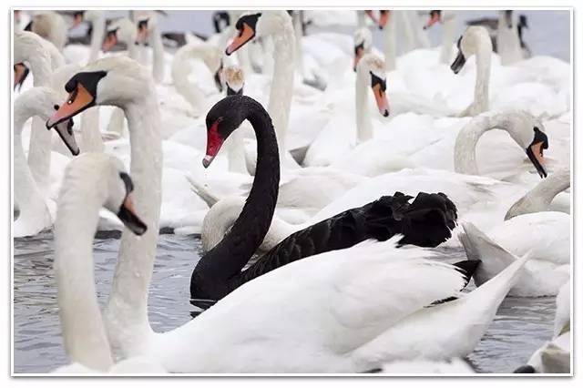 一个天使投资人眼中的创业,一个天使投资人的跨界人生