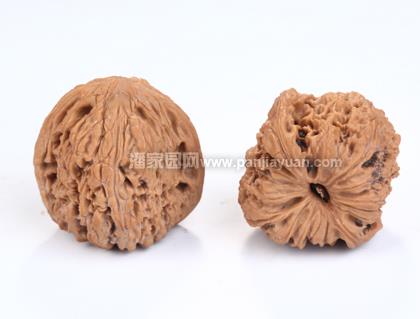 文玩核桃哪种品种盘出来最好看,文玩核桃哪个品种盘出牛筋红