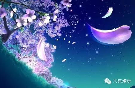 娉偣楂樼殑鐭瘒灏忚,楂樻唱鐐圭殑灏忚鐭瘒