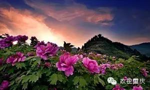 假如重庆是一个班级,按重庆区县划分班级职务