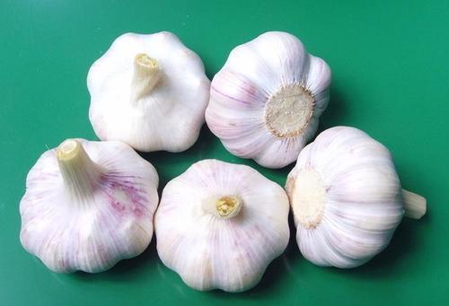 美丽女人的保养方法,美丽女人的美容养生