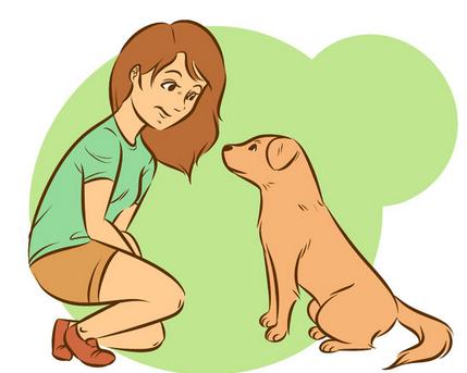 如何让陌生的狗狗喜欢自己,如何让刚到家的狗狗和自己亲近