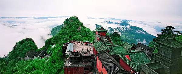 循香识味赏景尝鲜|看,鄂西北的山珍催促着我们追寻食物的脚步