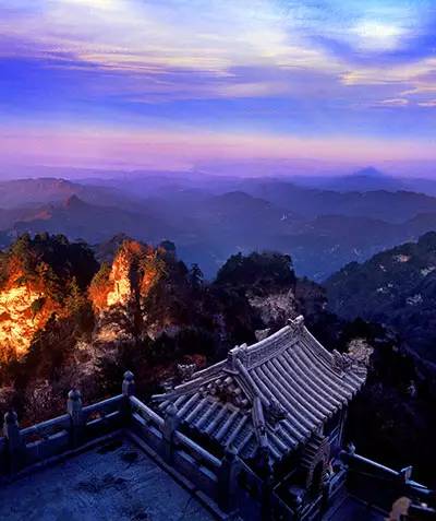 循香识味赏景尝鲜|看,鄂西北的山珍催促着我们追寻食物的脚步