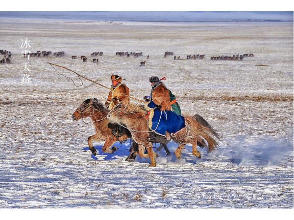 牧马少年歌曲完整版,牧马少年草原