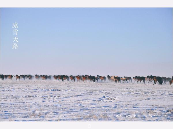 牧马少年歌曲完整版,牧马少年草原