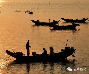 秦皇岛海鲜推荐,秦皇岛海鲜美食推荐