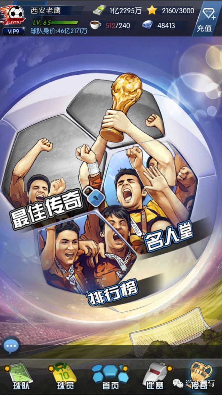 傲世堂金菁,傲世堂金菁照片