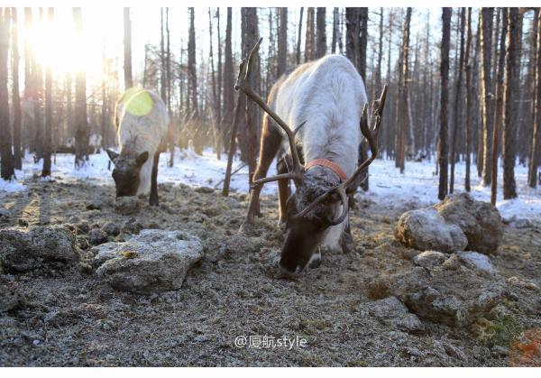牧马少年歌曲完整版,牧马少年草原