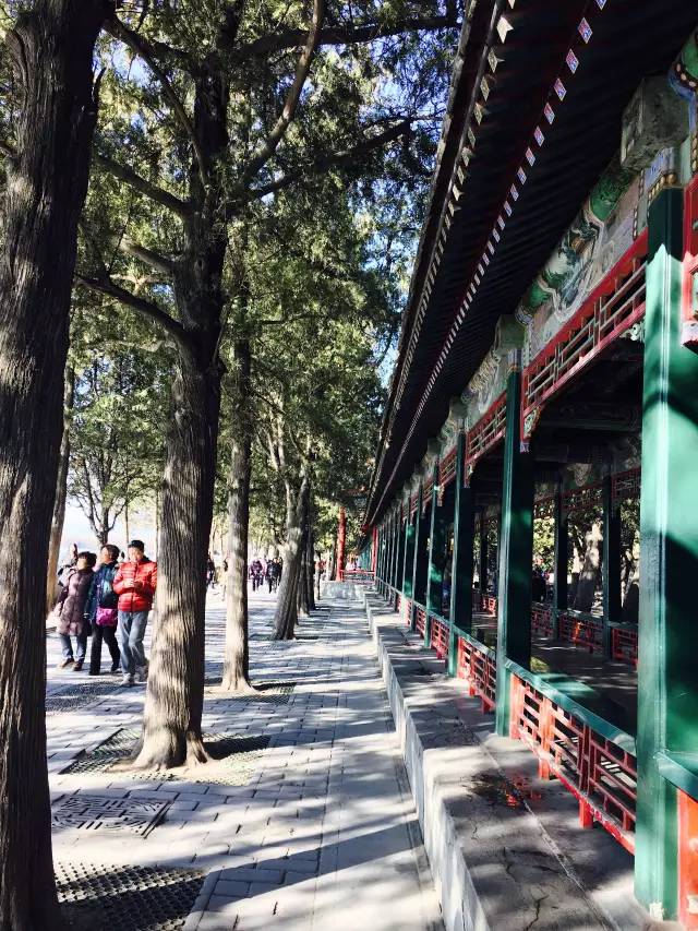 跨越半个中国完整版,跨越半个中国