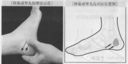 足部子宫反射区出问题怎么治疗,妇科脚底穴位反射区在哪图片