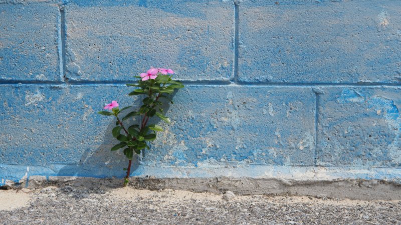 奥林巴斯相机镜头参数,奥林巴斯penf实拍样张