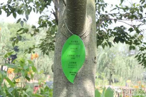 听说你还在家养花花草草实在太OUT了！