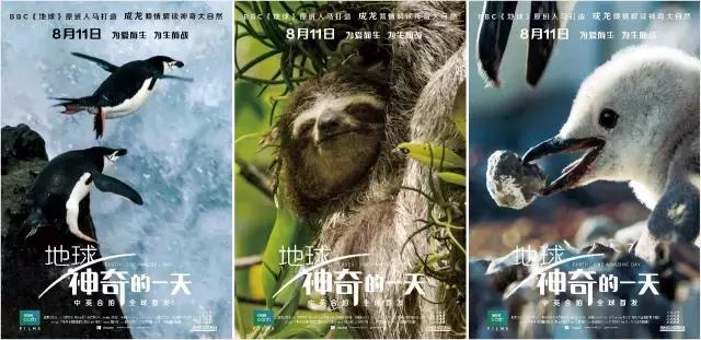 豆瓣9.7的冷门好片，送给每个热爱生命的人